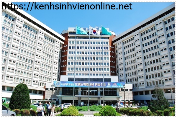 Du học Hàn Quốc hệ vừa học vừa làm là một lựa chọn hợp lý