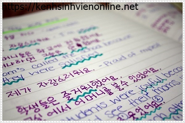 Đại học Youngsan H&agrave;n Quốc chất lượng h&agrave;ng đầu