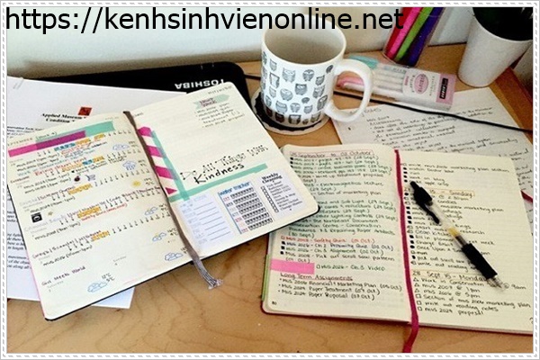 Đại học Youngsan H&agrave;n Quốc đạo tạo nhiều ng&agrave;nh nghề