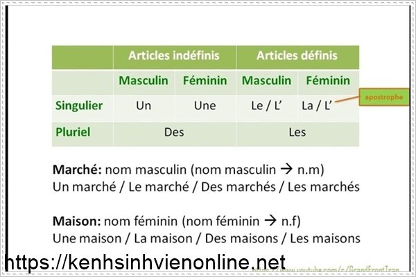 Những c&aacute;ch gi&uacute;p bạn giữ đam m&ecirc; học tiếng Ph&aacute;p cả ng&agrave;y