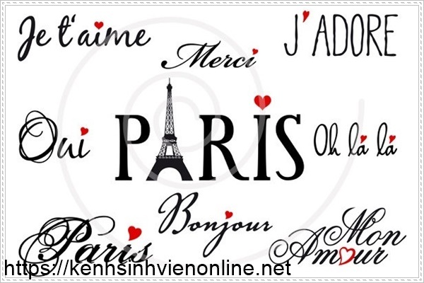 X&aacute;c định r&otilde; mục ti&ecirc;u học tiếng Ph&aacute;p cho người mất căn bản