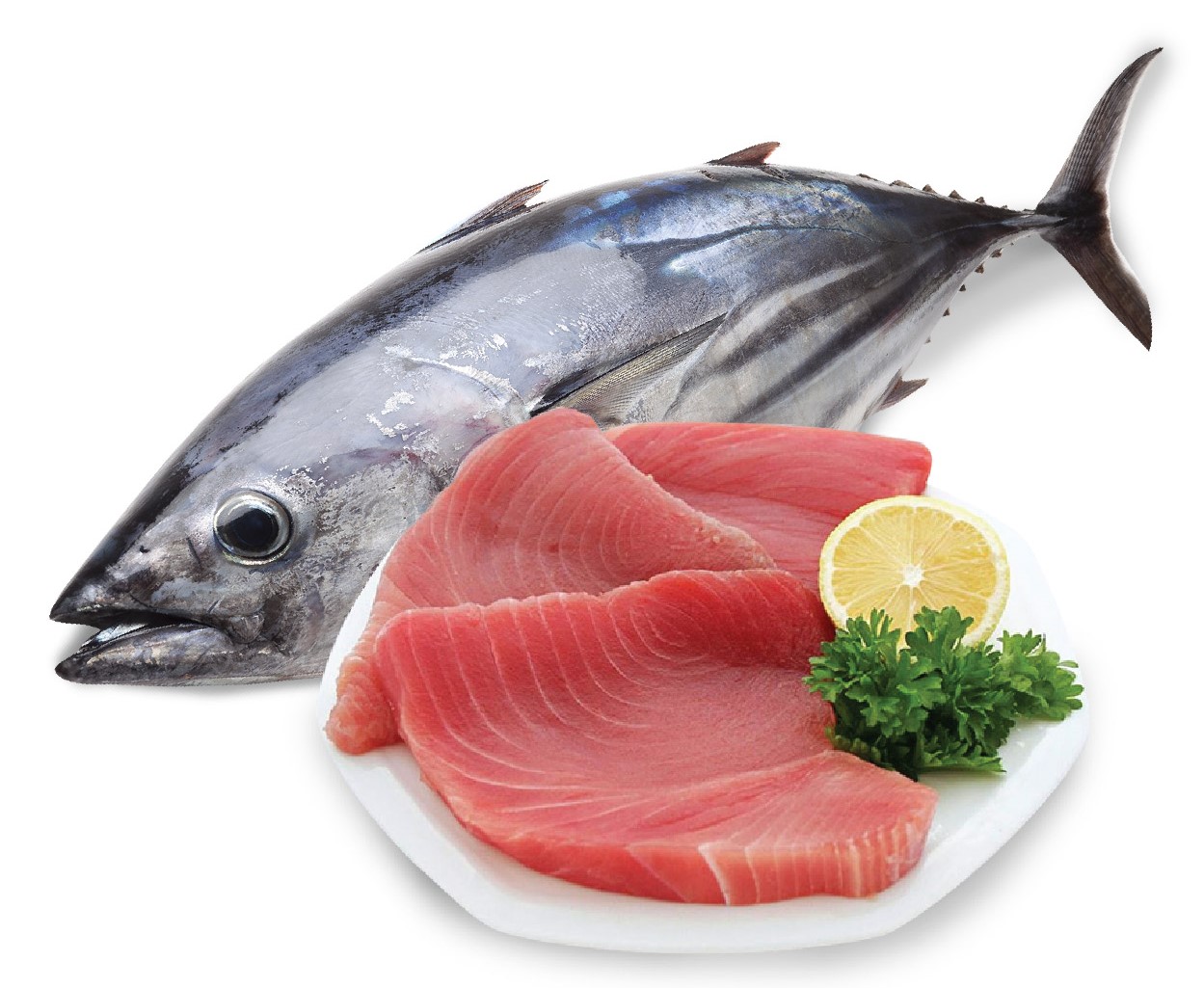 Thịt c&aacute; mang đến nhiều t&aacute;c dụng trong dinh dưỡng thể h&igrave;nh