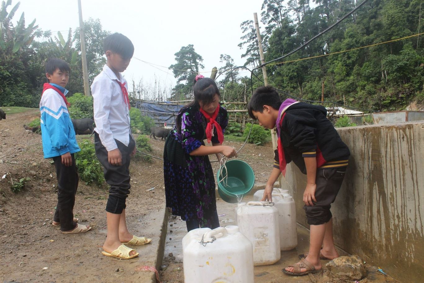 Vệ sinh m&ocirc;i trường nước n&ocirc;ng th&ocirc;n l&agrave; một điểu buộc phải l&agrave;m